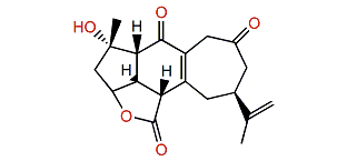 Scabrolide A